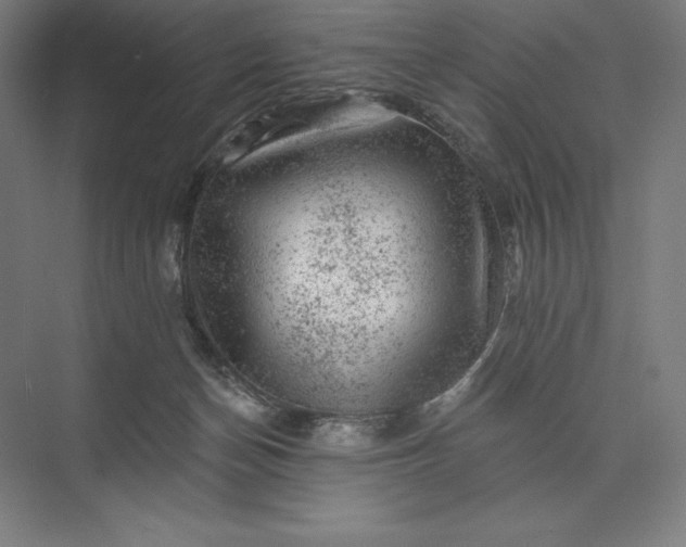 X0000074040174200609061217