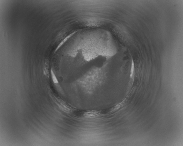 X0000074040175200609061217