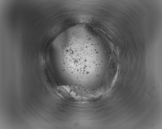 X0000074040176200609061217