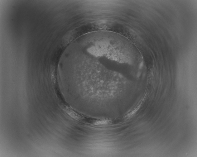 X0000074040178200609061217