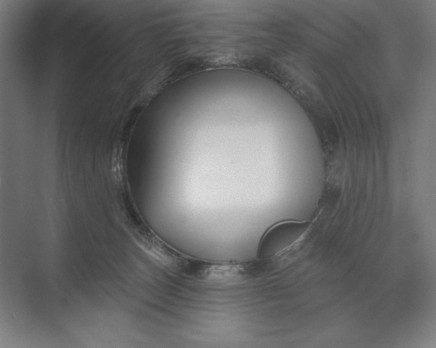 X0000074040179200609061217