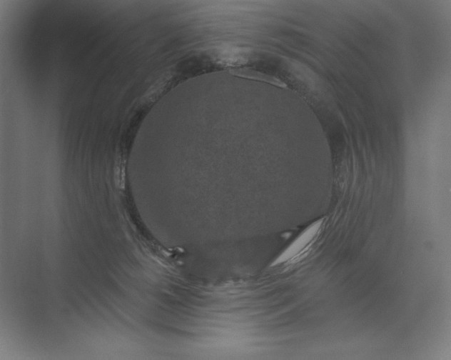 X0000074040180200609061217