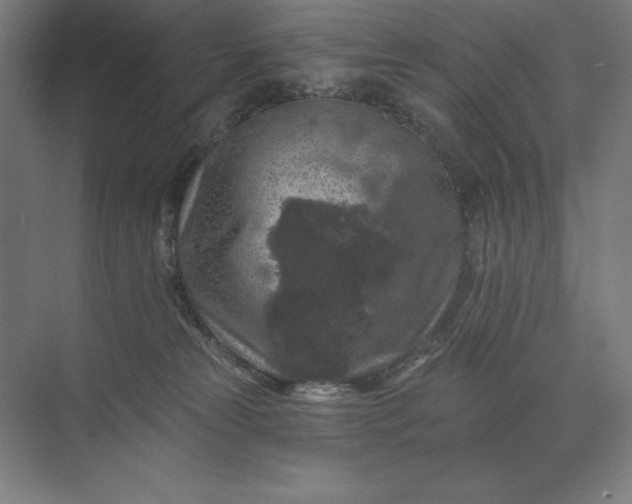 X0000074040181200609061217