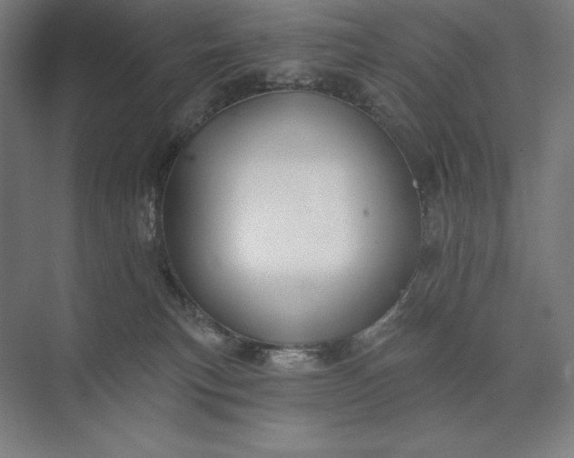 X0000074040183200609061217