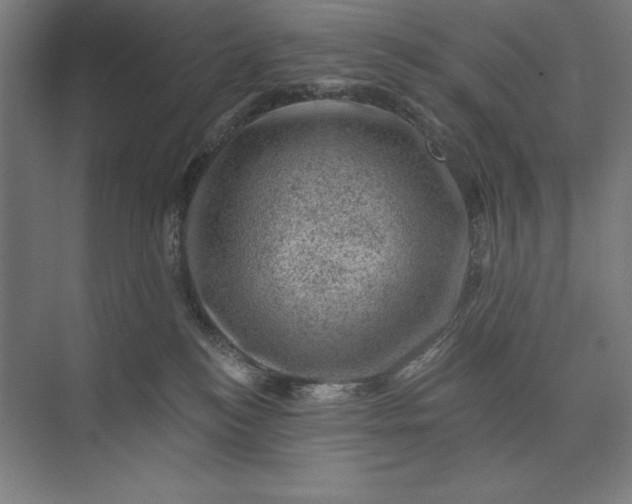 X0000074040184200609061217