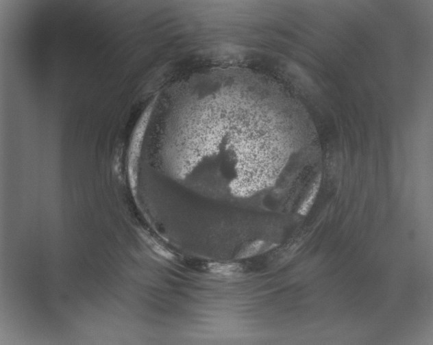 X0000074040185200609061217