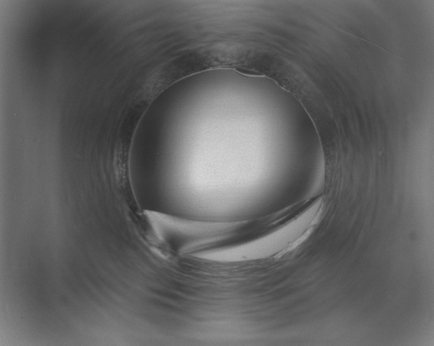 X0000074040186200609061217