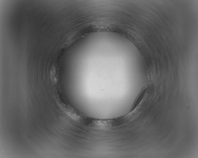 X0000074040187200609061217