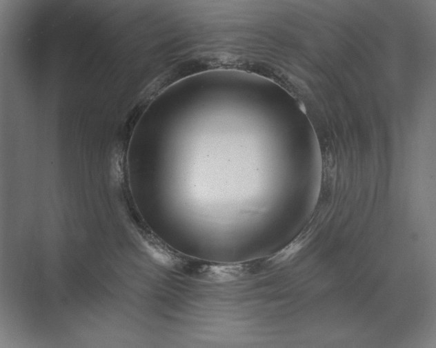 X0000074040188200609061217