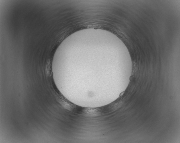 X0000074040189200609061217