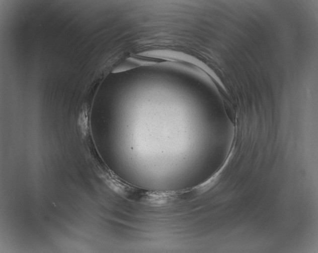 X0000074040190200609061217