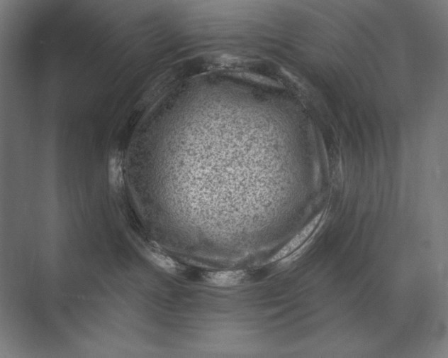 X0000074040191200609061217