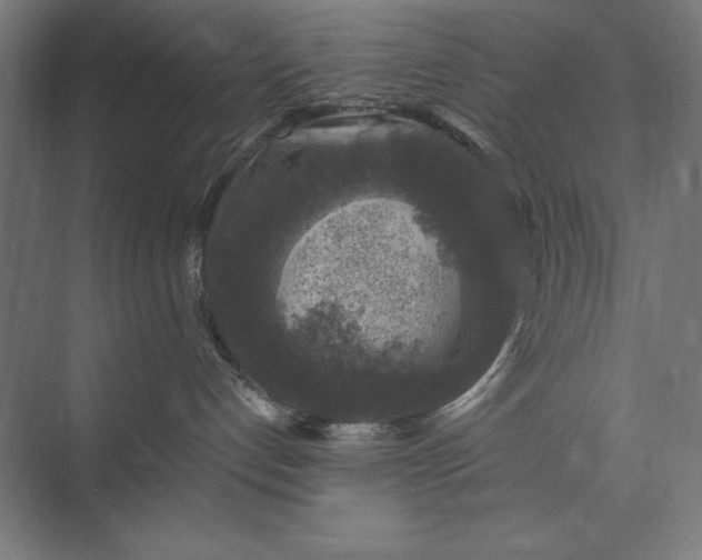 X0000074040192200609061217