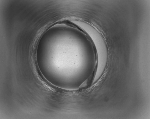 X0000074040193200609061216