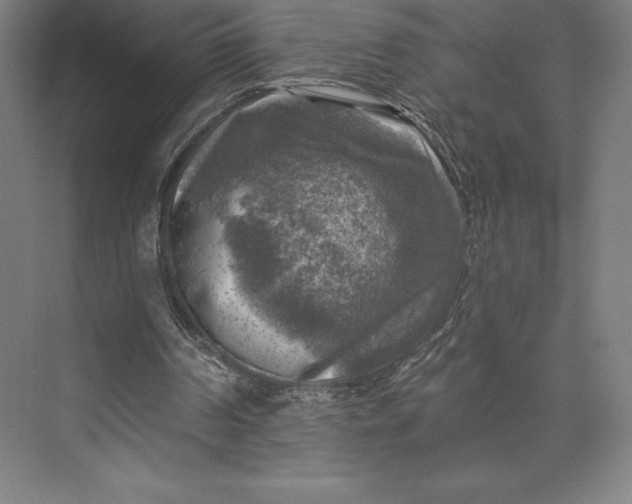 X0000074040194200609061216