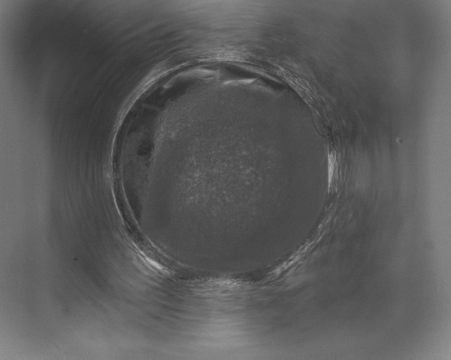 X0000074040195200609061216