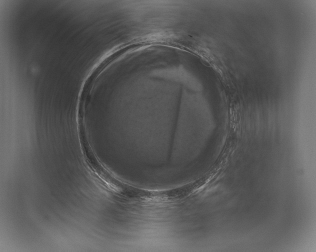 X0000074040196200609061216