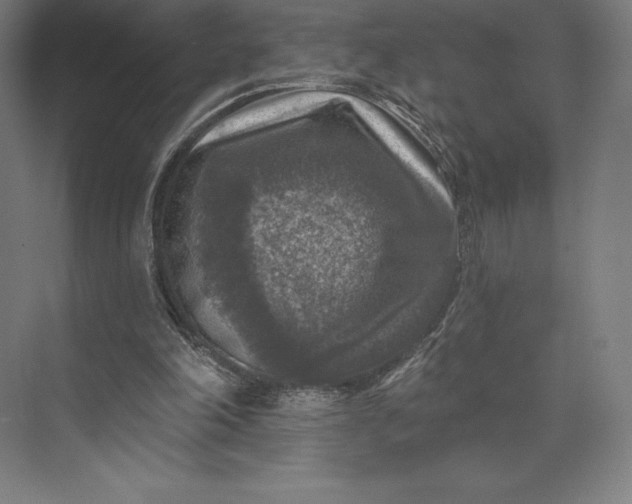 X0000074040198200609061216