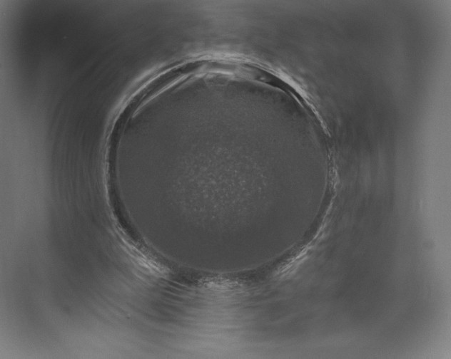 X0000074040199200609061216