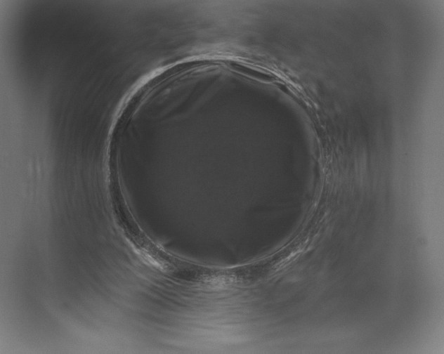 X0000074040200200609061216