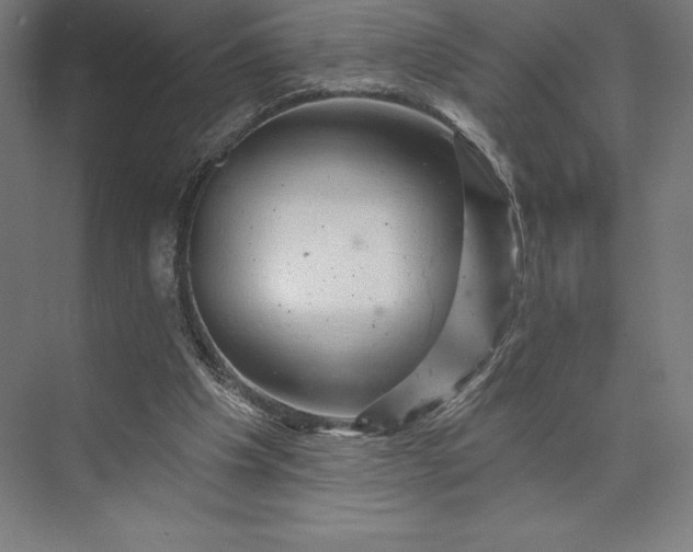 X0000074040201200609061216