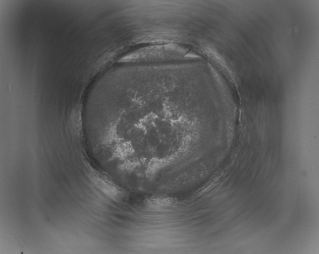 X0000074040202200609061216