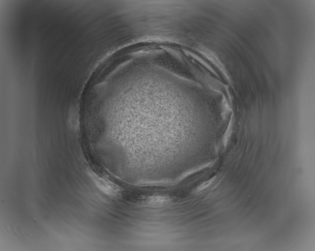 X0000074040204200609061216