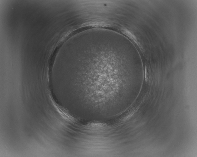 X0000074040205200609061216