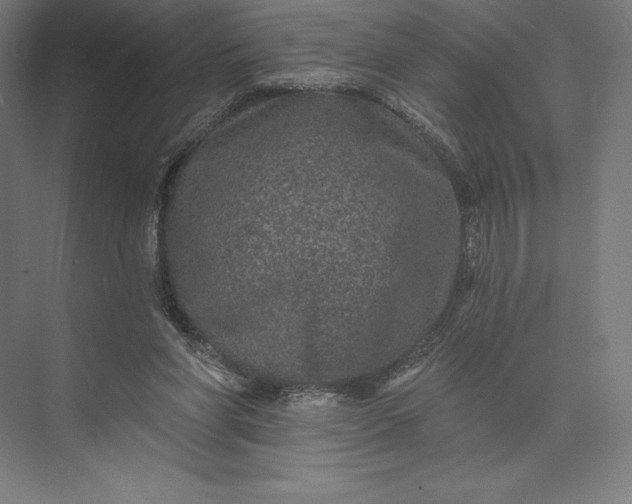 X0000074040206200609061216