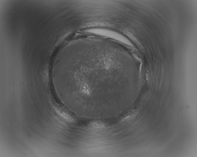 X0000074040207200609061216