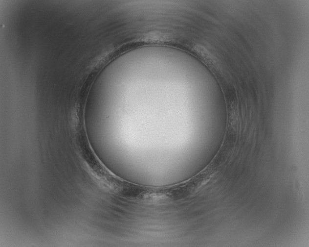 X0000074040208200609061216