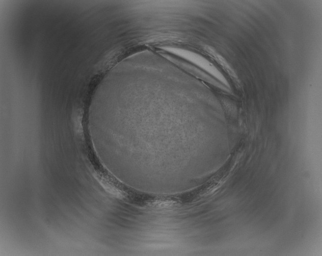 X0000074040209200609061216