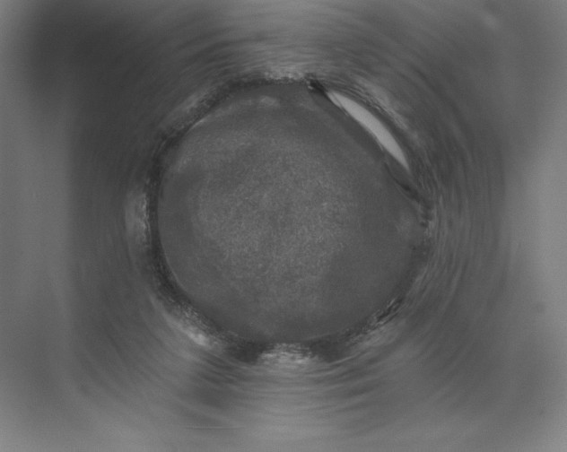 X0000074040211200609061216