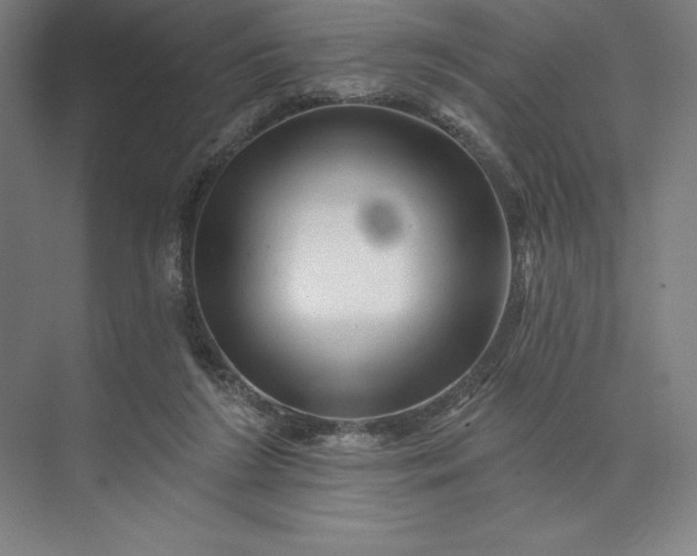 X0000074040212200609061216