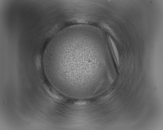 X0000074040213200609061216