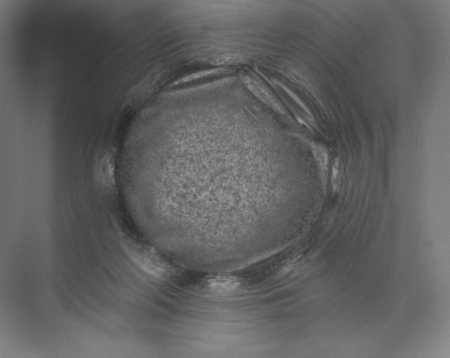 X0000074040214200609061216