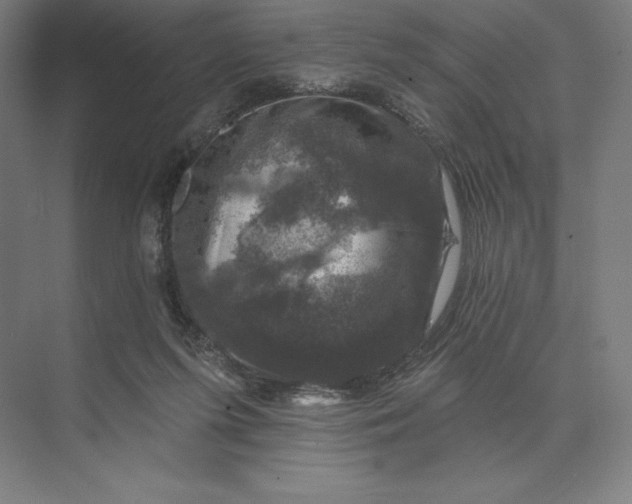 X0000074040215200609061216