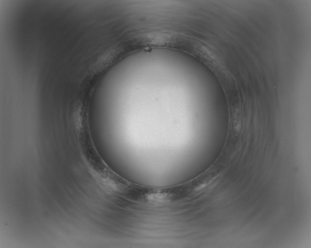 X0000074040216200609061216