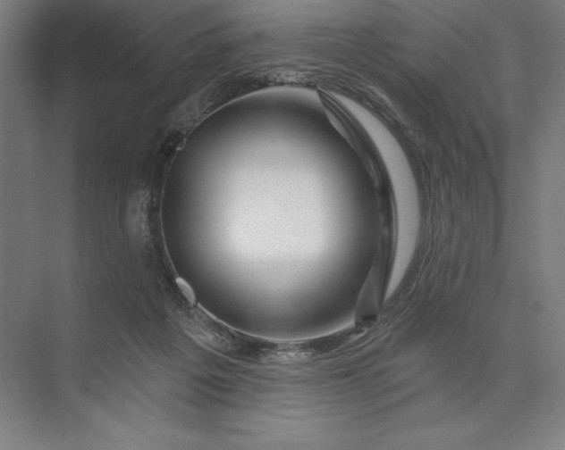 X0000074040217200609061216