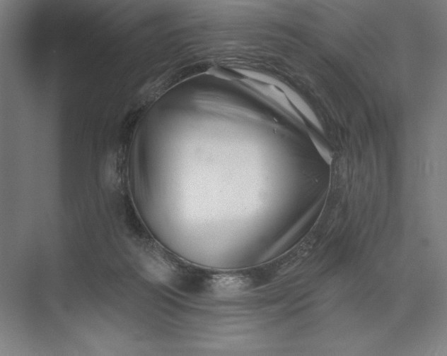 X0000074040218200609061216