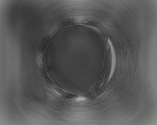 X0000074040219200609061216