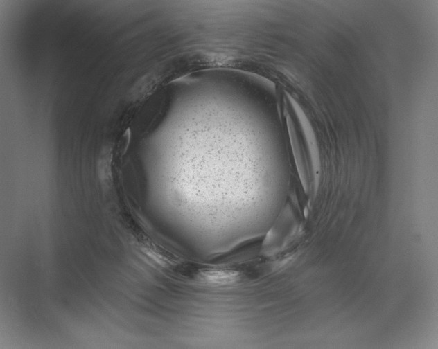 X0000074040221200609061216