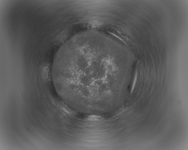 X0000074040222200609061216