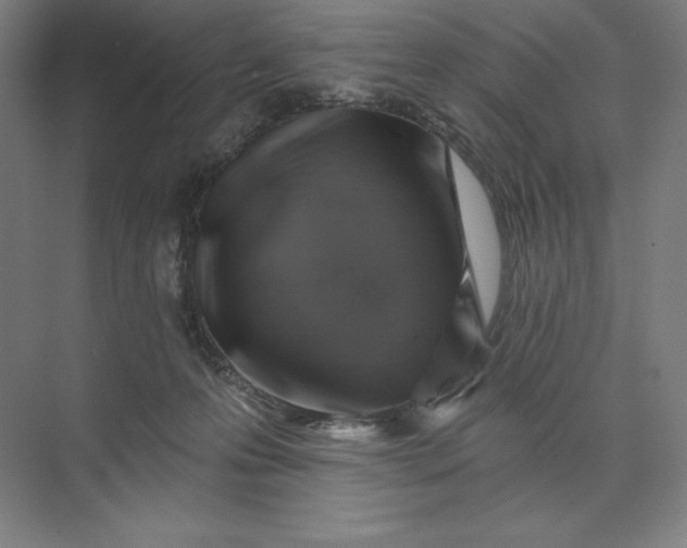 X0000074040223200609061216