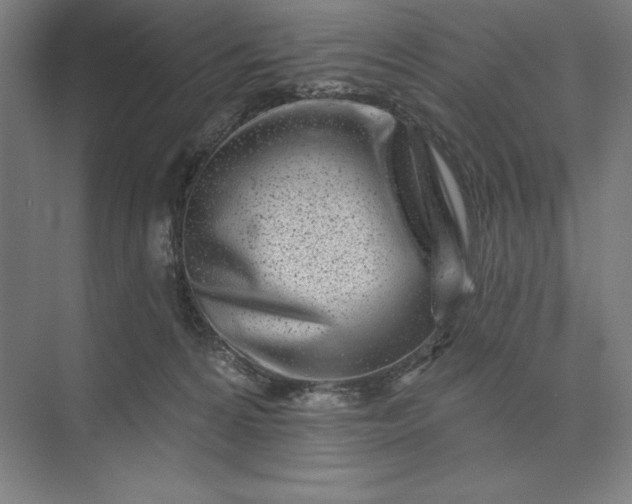 X0000074040224200609061216