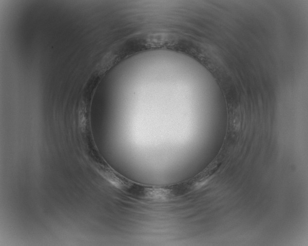 X0000074040226200609061216