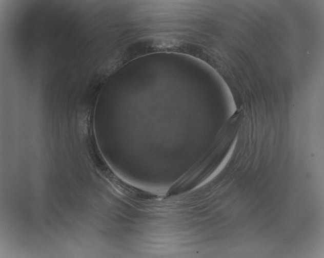 X0000074040227200609061216