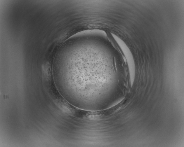 X0000074040228200609061216