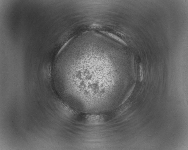 X0000074040230200609061216