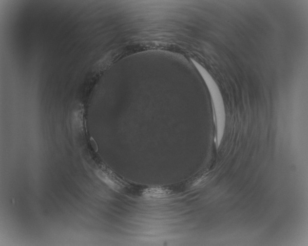 X0000074040231200609061216